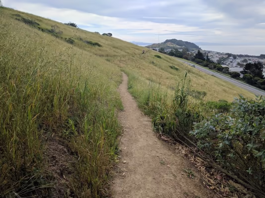 McLaren Park photo 2
